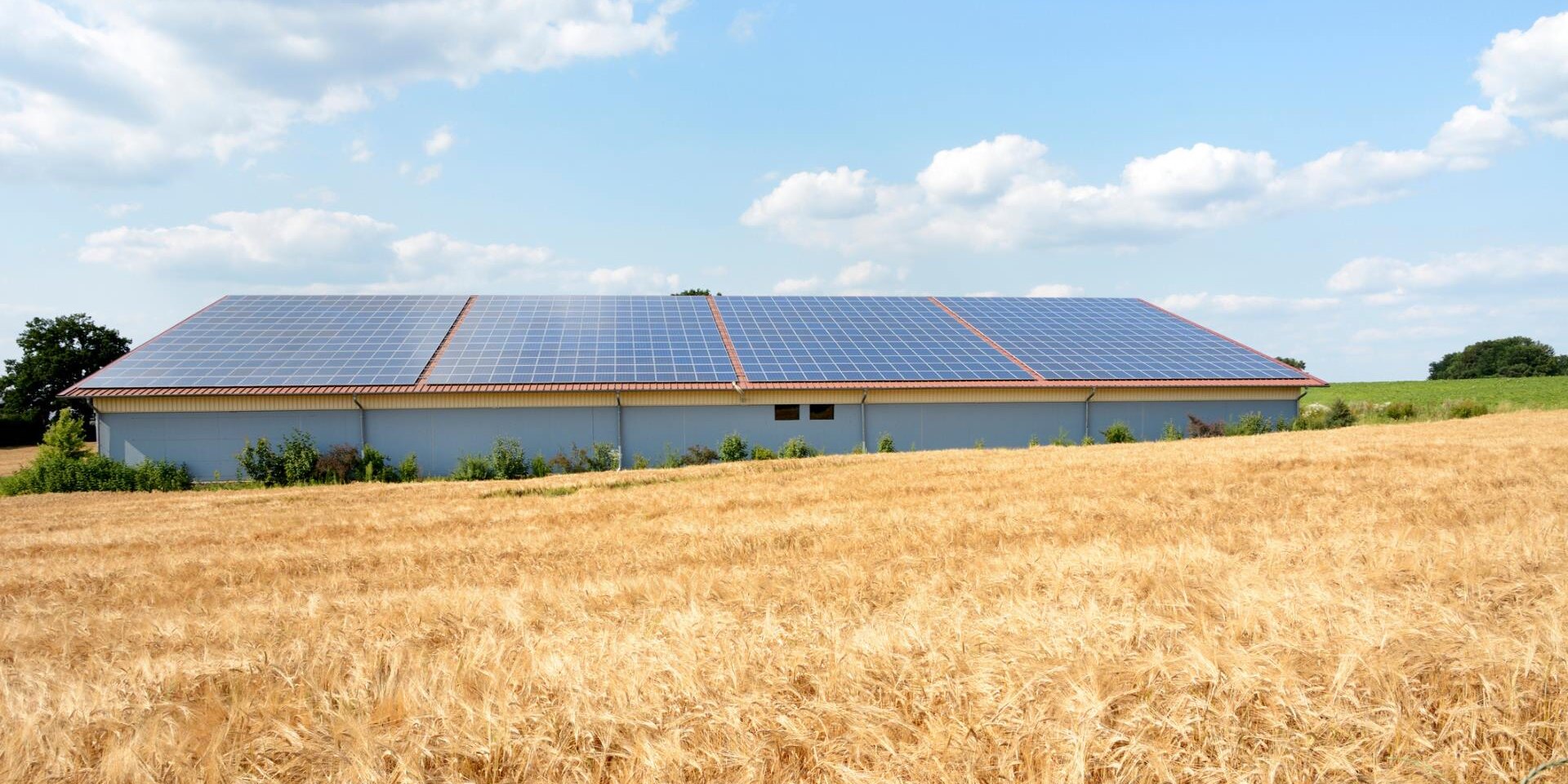 Blog sugli impianti fotovoltaici - NTC Energy Group