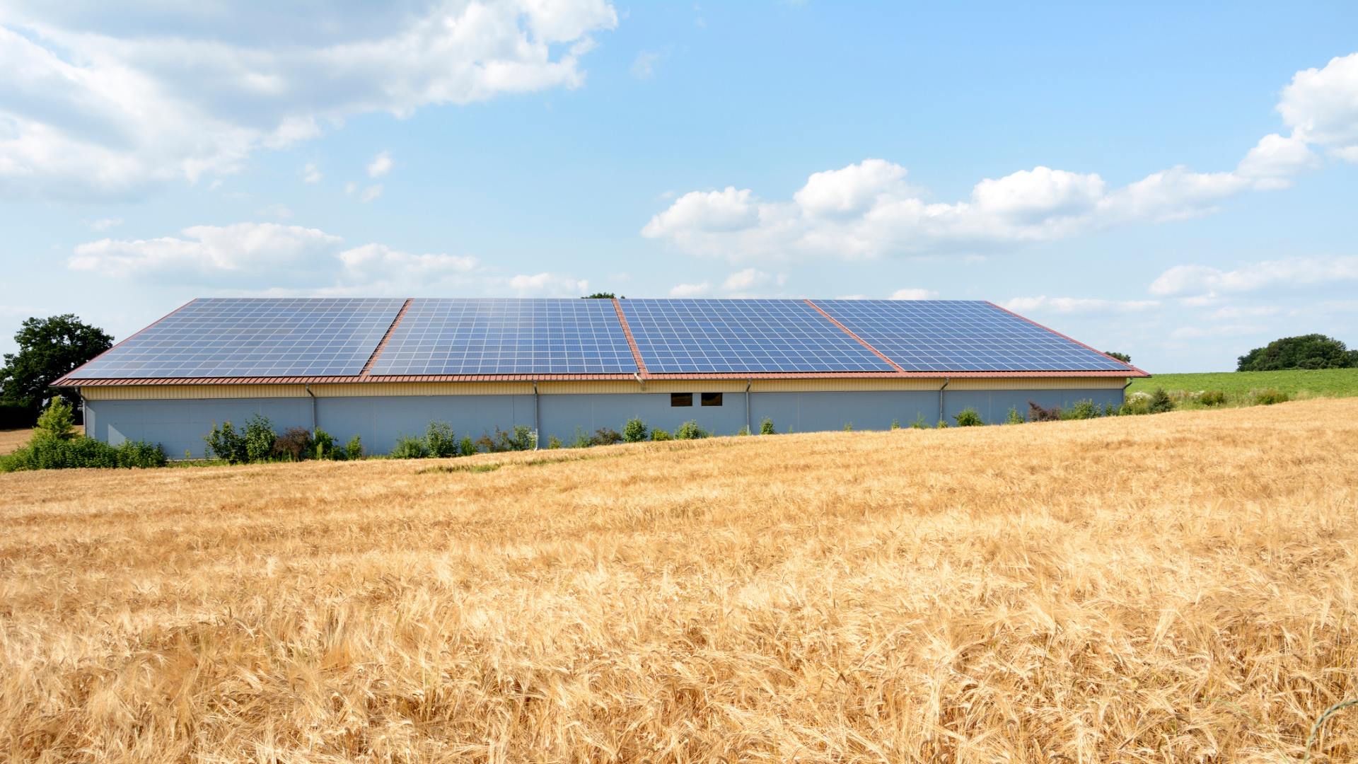 News Archives - NTC Energy Group